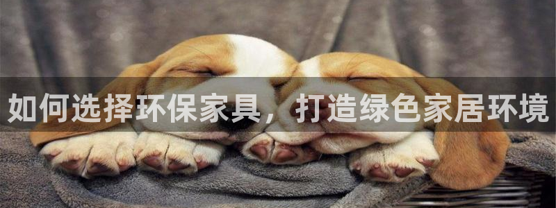 杏耀注册主管：如何选择环保家具，打造绿色家居环境